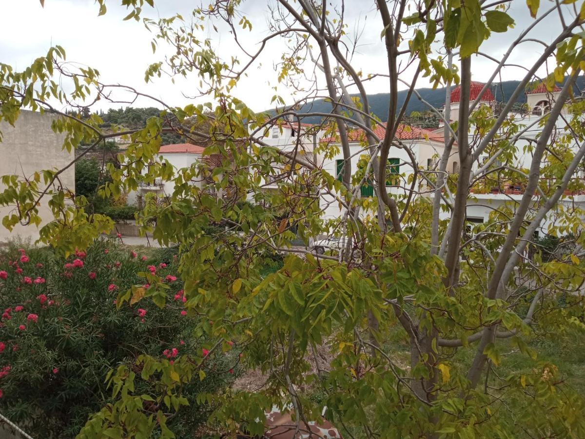 Bissias Guest House Galatás 외부 사진